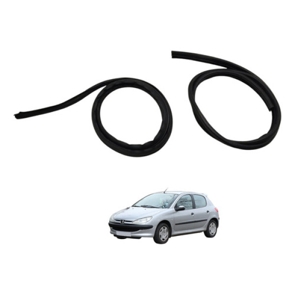 Borracha Porta Traseira Peugeot 206 2008 2009