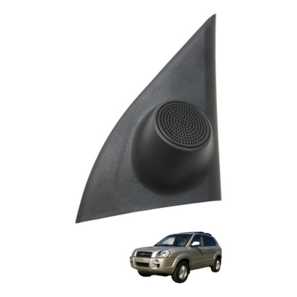 Acabamento Interno Retrovisor Dianteira Direita Tucson 2009