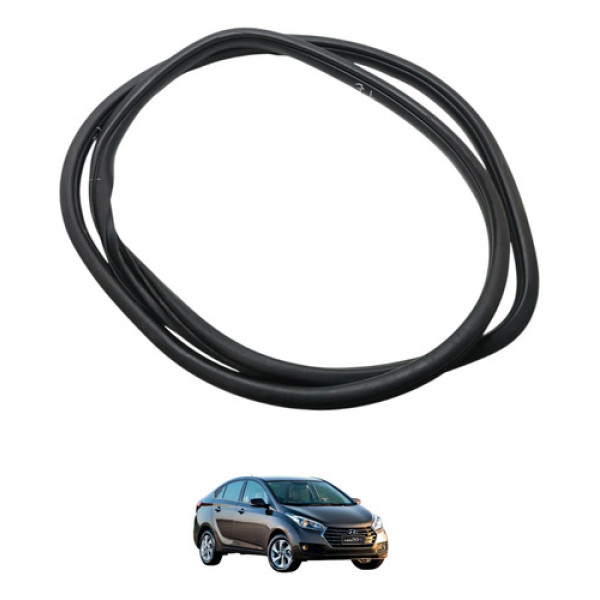 Borracha Porta Traseira Esquerda Hb 20 2017