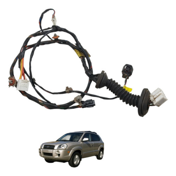 Chicote Porta Traseira Direita Tucson 2010 2011