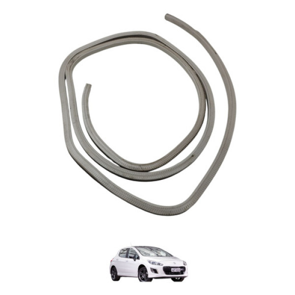 Borracha Teto Solar Peugeot 308 2014 2015
