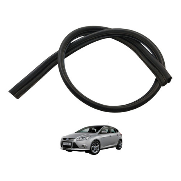 Borracha Grade Churrasqueira Focus 2014 2015