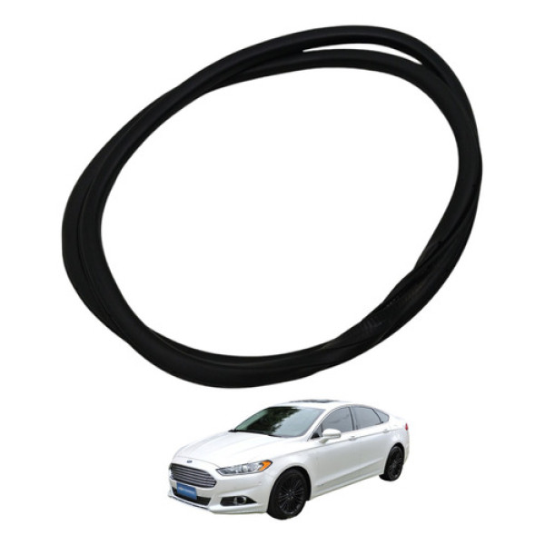 Borracha Guarnição Porta Traseira Direita Fusion 2014 2015